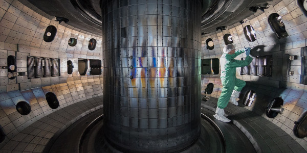 Fusion reactor